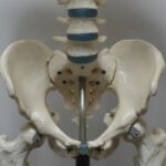 『コシラック』と他社骨盤ベルトの違い