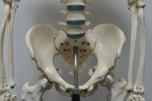 『コシラック』と他社骨盤ベルトの違い