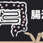 腸を制する者が健康を制する【腸活】