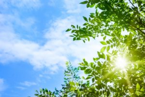 コシラックは地肌に着用!