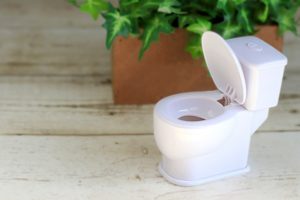 コシラックで尿漏れ対策