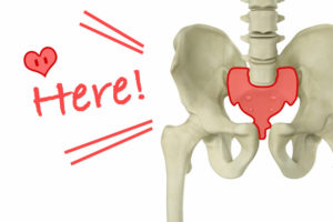 仙骨ってなに？