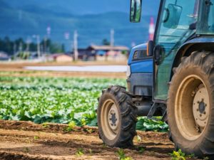 絶望的な苦しみからの回復